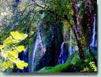 Cascada
